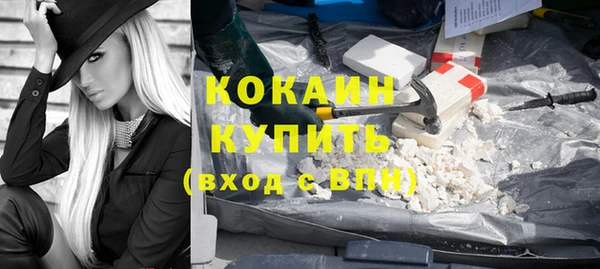 шишки Волоколамск