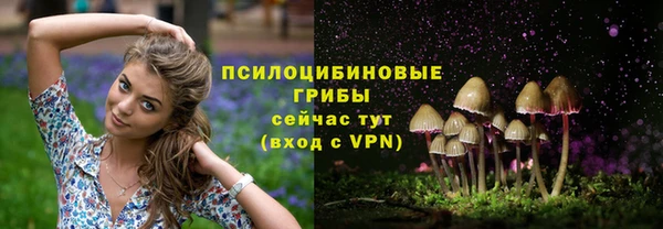 бошки Волосово