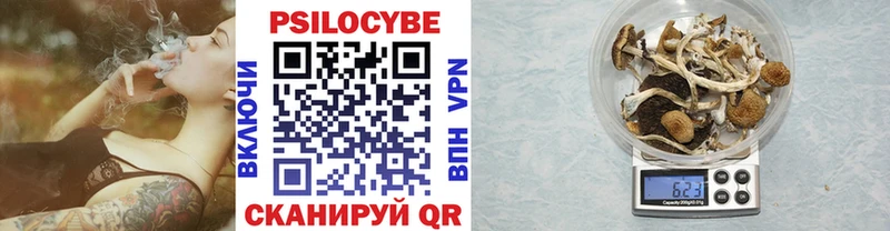 Купить где  Сертолово  Псилоцибиновые грибы прущие грибы 
